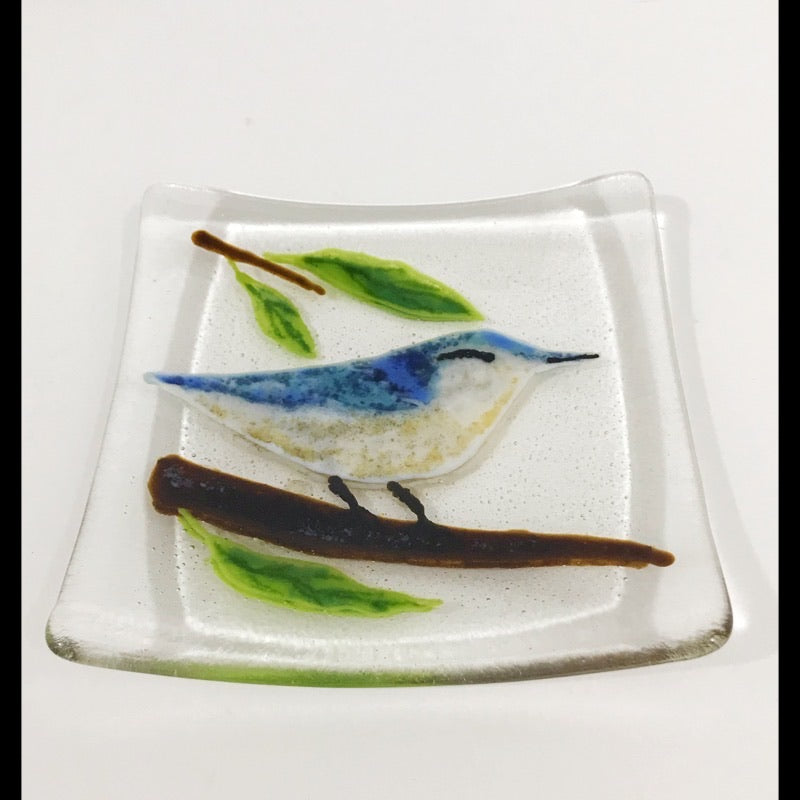 White Breasted Nuthatch Dish