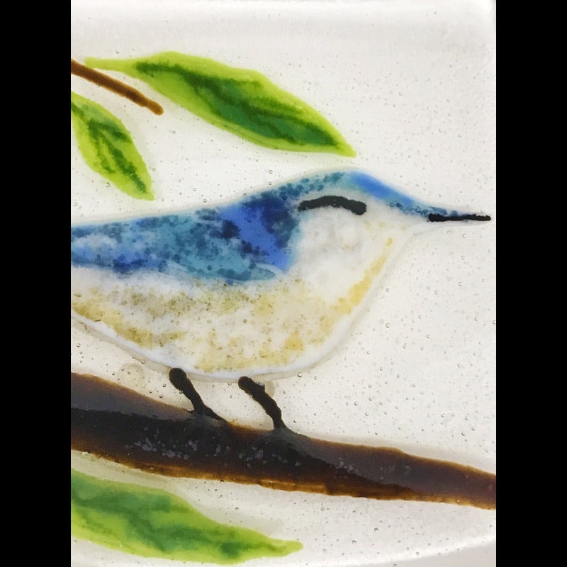 White Breasted Nuthatch Dish